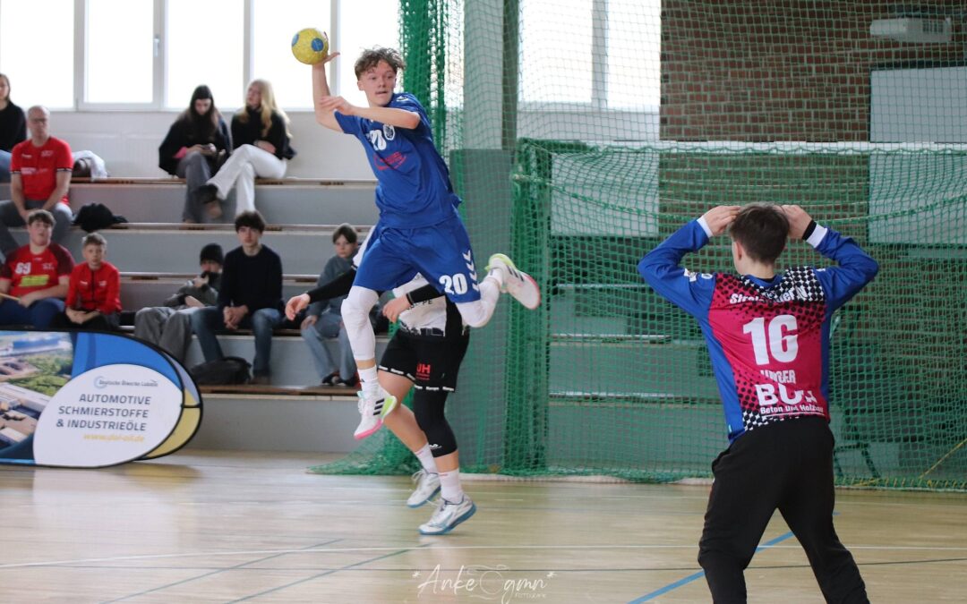 Füchse ziehen das Ding in Grimmen